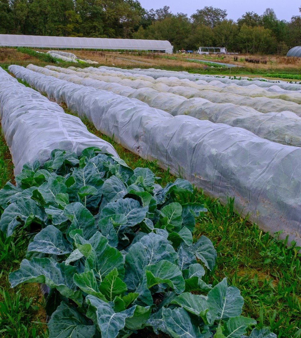 Présentation de la ferme et de ses installations