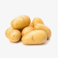 Pomme de terre primeur 