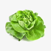 Salade
